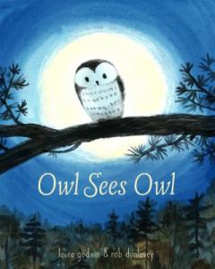 owl-sees